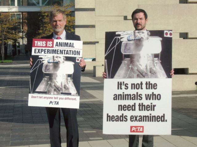 animal experiments failure